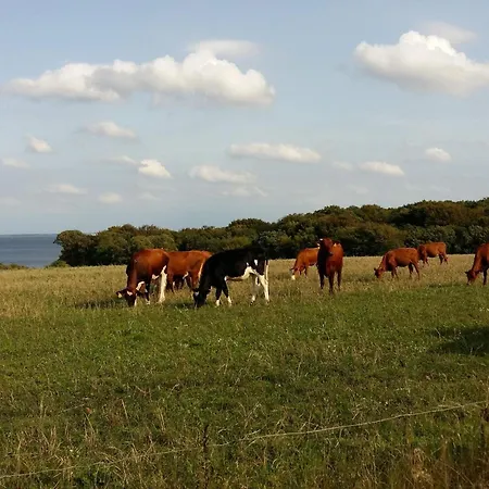 6 Person In * Roslev