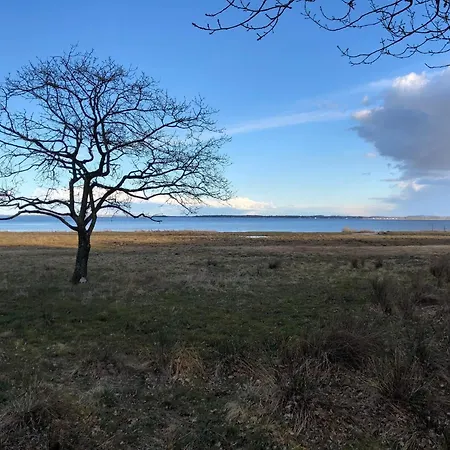 Vakantiehuis 6 Person In