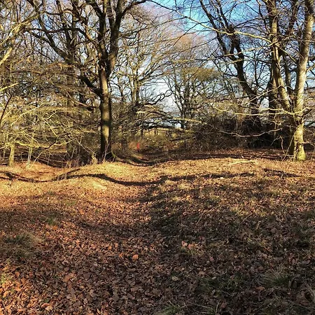 Vakantiehuis 6 Person In